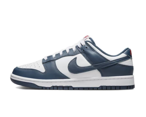 Nike Dunk Low Retro Valerian Blue